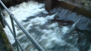 preview picture of video 'River Kennet at Padworth Mill, New Years Day 2013'