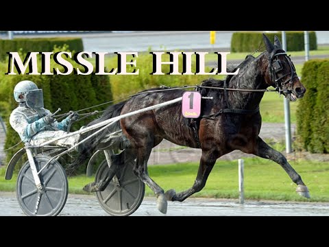 MISSLE HILL(US) ШЕСТОЙ УЧАСТНИК Elitloppet 2020