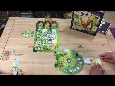 How to Play: Meadow - Im Reich der Natur [Neuerscheinung Asmodee]