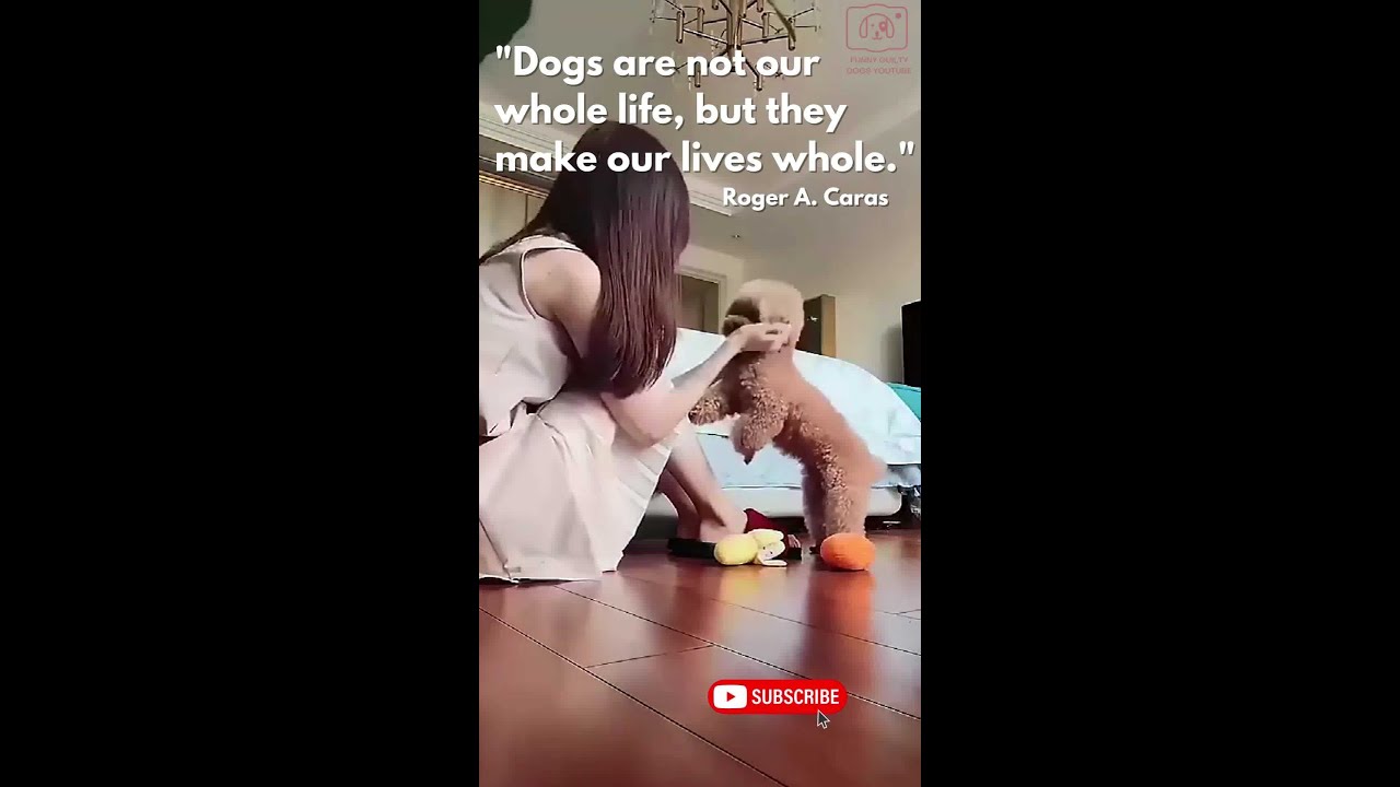Dog comforts crying owner with his toy |  This Is Why Dogs Are Man's Best Friend  😍