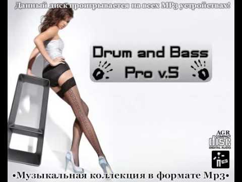Degrees Of Motion & North Base - Shine On (Drumstep VIP Mix)