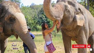 I visited an ethical non-touristy Elephant Sanctuary in Thailand [4K]