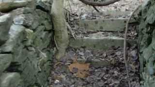 preview picture of video 'Old House Foundation Ruins In Patapsco Park Daniels Ghost Town 1-19-14 HD'