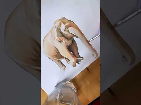 Elephant Coloring Blanket