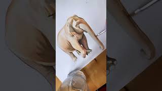 Watercolor elephant 🐘 #art #artist #elephant #watercolor #painting
