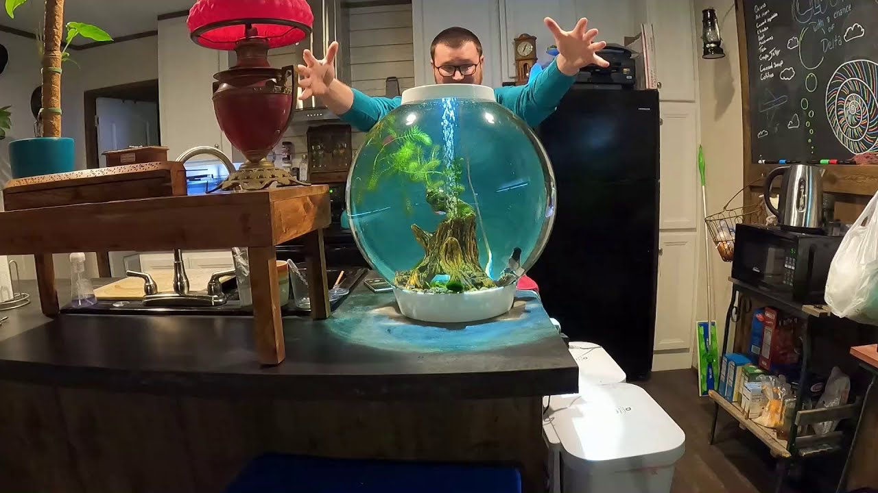 BiOrb 15 Gallon Review