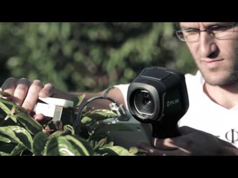 Climate change threatens coffee production