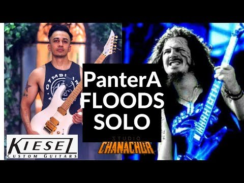Pantera - FLOODS Solo Cover (Oni Hasan) #DIMEBAGLEGACY #KIESELGUITARS