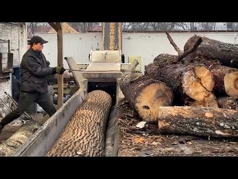 EXTREME ZONE— One Step from Collapse.