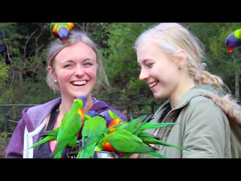 Australian Reptile Park