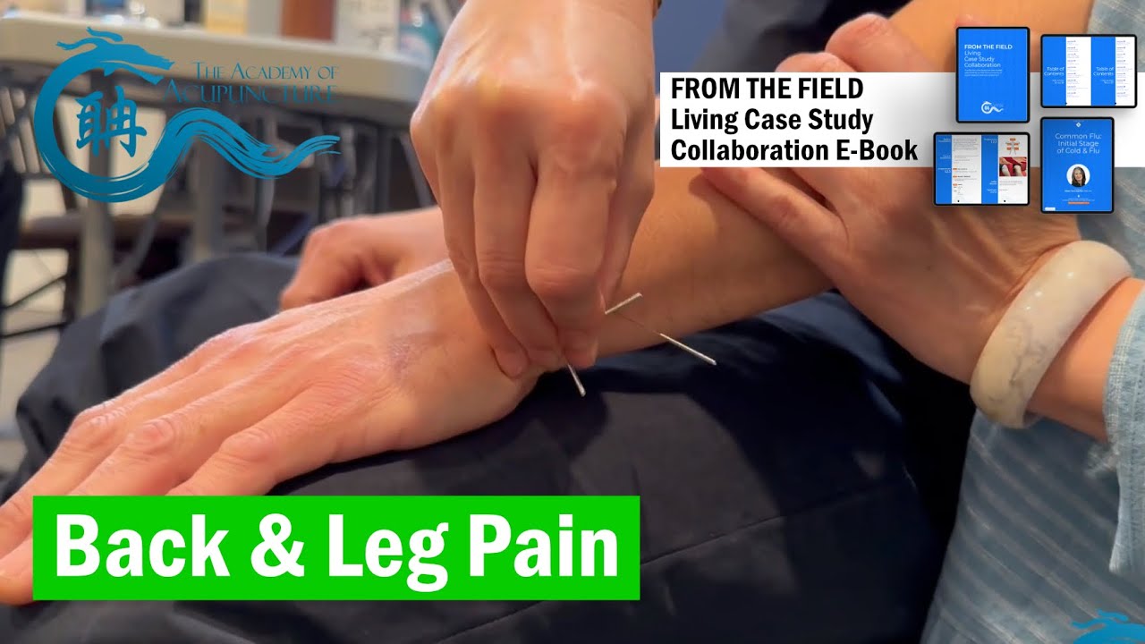 Back Lower scapula Ankle Pain #eileenhan #theacademyofacupuncture #balancemethodacupuncture #譚針#韓玉齡