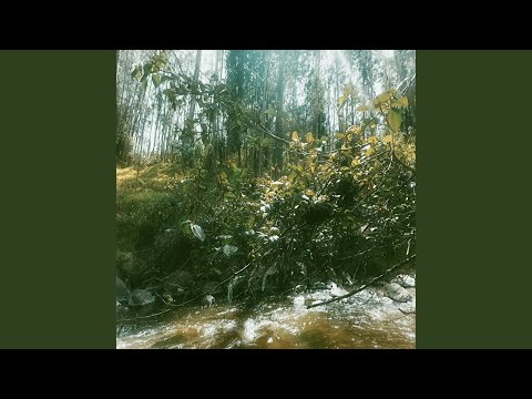 Lignum (Slowed + Reverb)