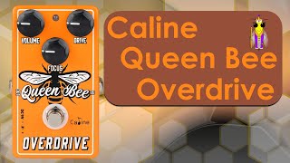 Video thumbnail for CP-503 Queen Bee Overdrive Pedal - Demo by Chris Benton