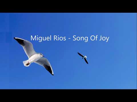 Miguel Rios - Song Of Joy