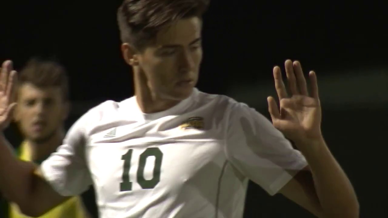 Daniel Hoffmann Highlight Tape