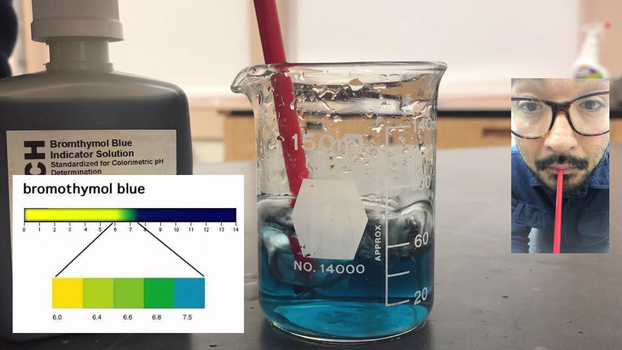 BTB Solution - Dissolved Oxygen Lab Introduction