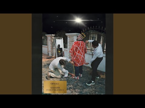 P.L.P.T (Pitkän Linjan Pahan Tekijä) ({feat. Hurtta & Dj Massimo)