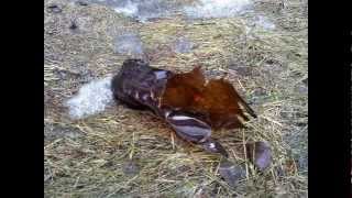 Burt Bacharach - No One Remember My Name