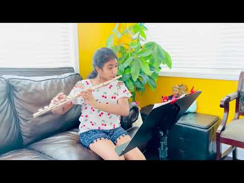 Skip to my Lou #42. Flute lessons for beginners.