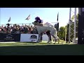 Dog Sports: Dog Diving and Fetch Competition