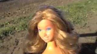 Bangles - The Rain Song