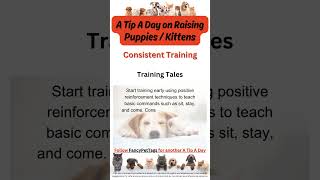 Top Tips for Raising Puppies and Kittens 🐾 | A Tip A Day Series 2