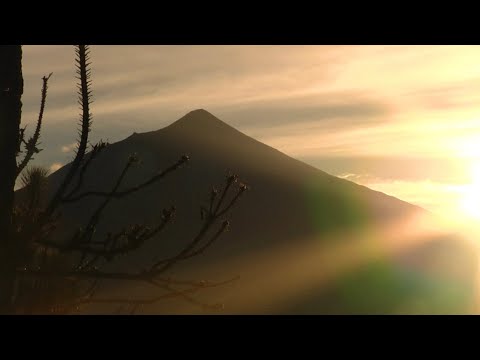 “FOOLS VACATION” Ft. Mati Lasgoity & Zeno Lehmann