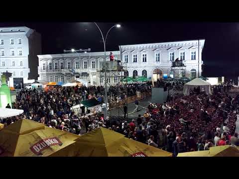 Zlatne žice Slavonije 2021