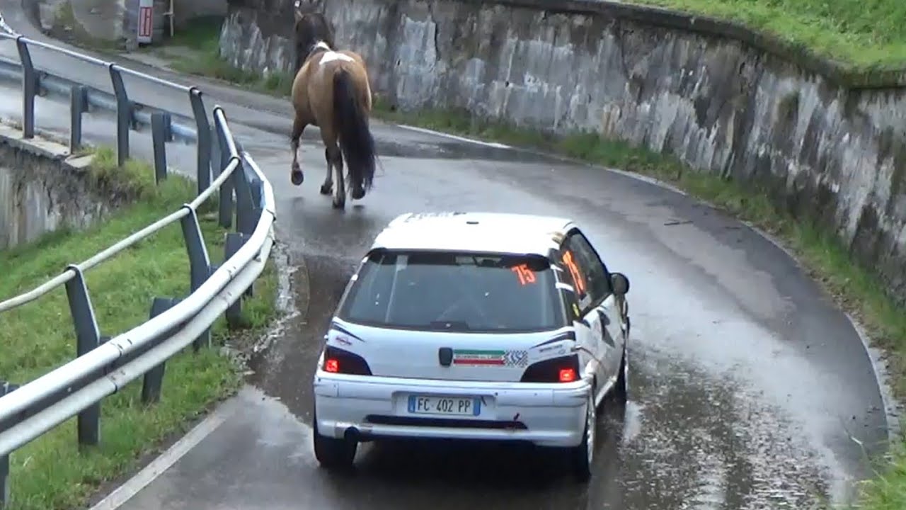 RALLY TROFEO ACI COMO 2024 - CAVALLO IN PROVA SPECIALE, MAX ATTACK, MISTAKES