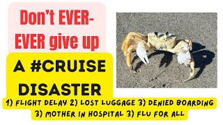 Coping with Cruise Disappointment: How to Make the Best of a Bad Situation