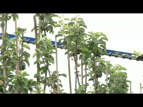 Barre d'élagage / taille haie agricol slanetrac 220/300_5