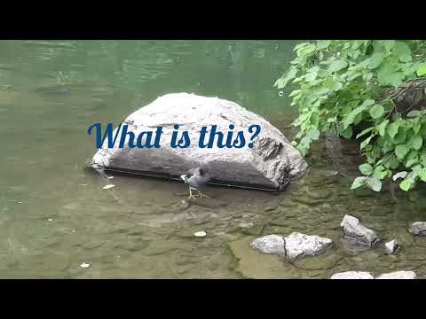 Oslo. Grorud. July 31, 2022.