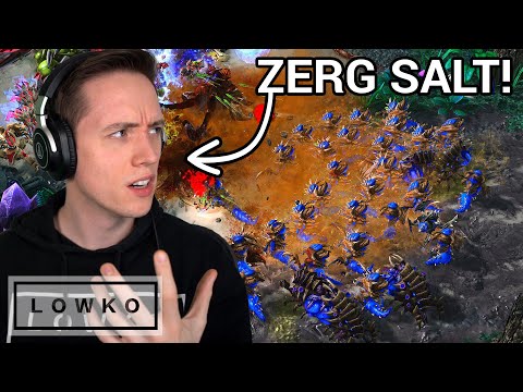StarCraft 2: Why Most Zerg Players Hate TURTLE TOSS!