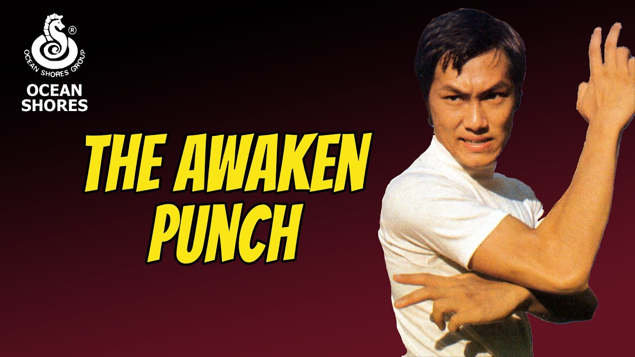 Wu Tang Collection - Awaken Punch