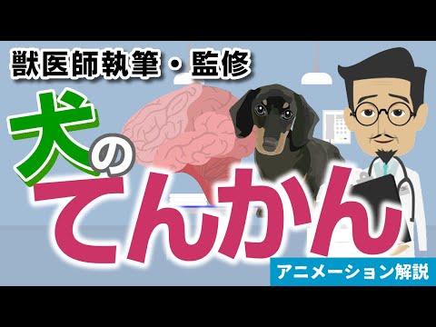 犬のてんかん - 原因、栄養、予防方法