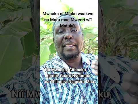 Mwaaka wa Gĩkũyũ nĩ Mwaako.