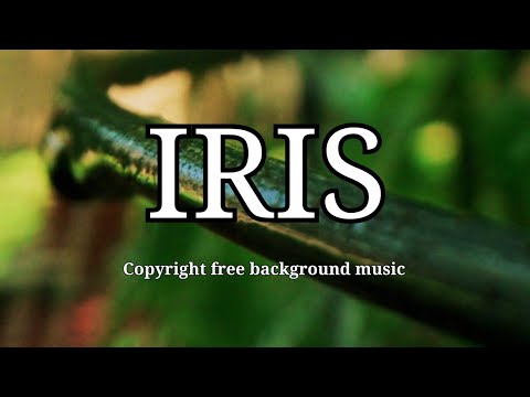 Footage of water flowing through navigable track | Exit Friendzone ft. The Eden Project - Iris [BGM]