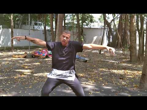 The Wizard ft Nyanda (Brick & Lace) & Chedda - Like A Pro [Alexander Henriques] Dance video