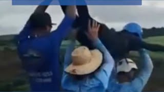 Rope jumping accident: Woman falls to her death after being thrown off bridge without safety cord