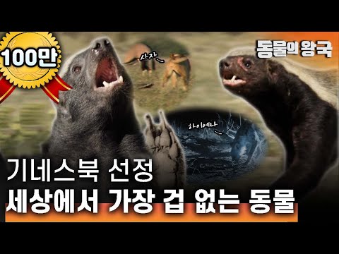 아이콘