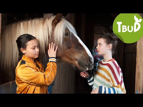 Pferdeschmerz (Folge 85) | Tiere bis unters Dach