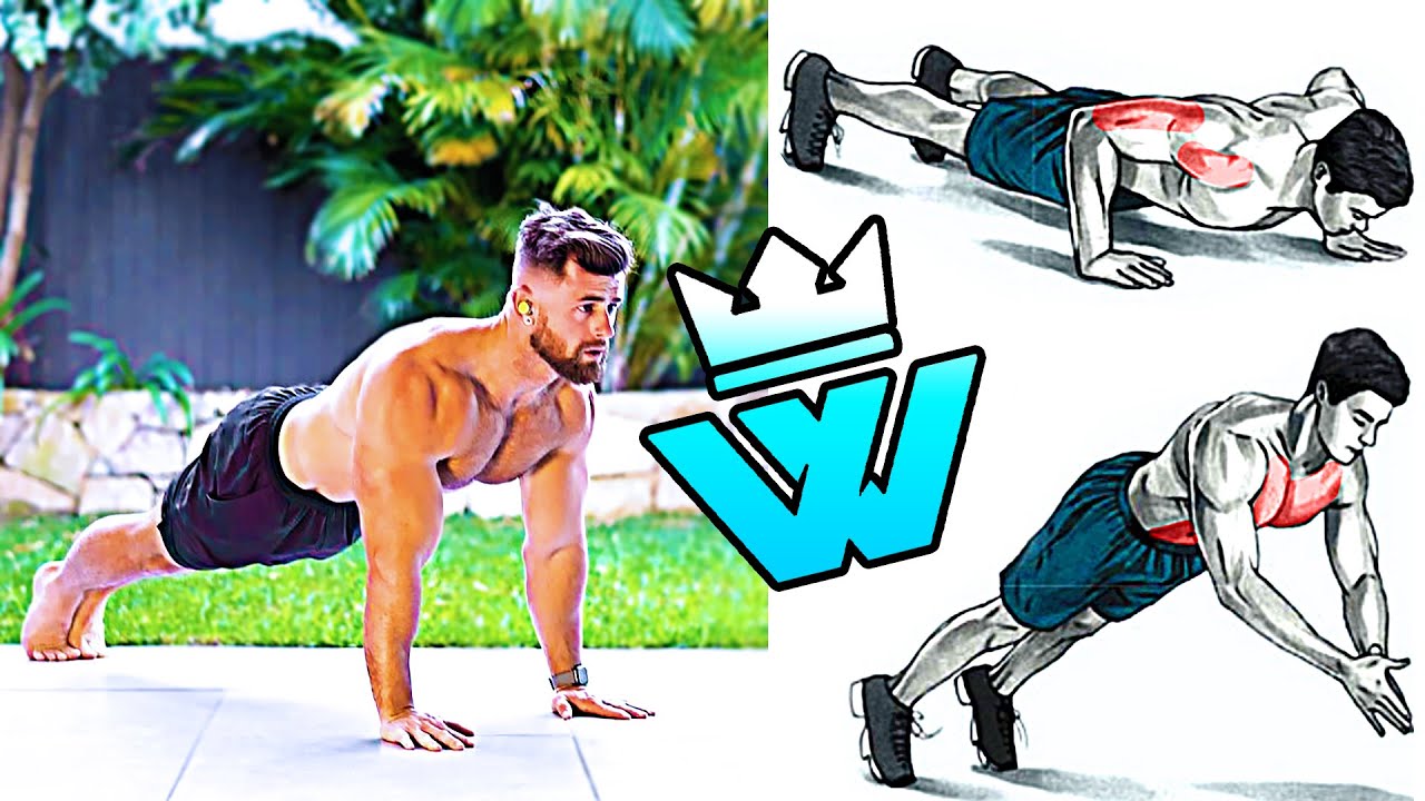 BODYWEIGHT WORKOUT only ABS, CHEST, ARMS