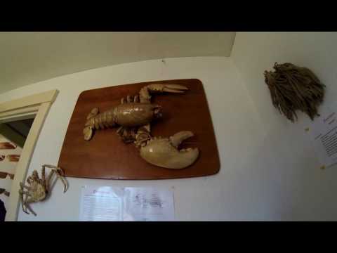 download lagu mp3 mp4 Lobster Swan, download lagu Lobster Swan gratis, unduh video klip Lobster Swan