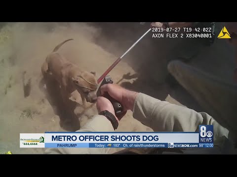 WARNING GRAPHIC FOOTAGE: Video shows Metro officer fatally shooting dog during July 27 investigation