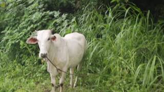 By The Way: A Day In Tagaytay