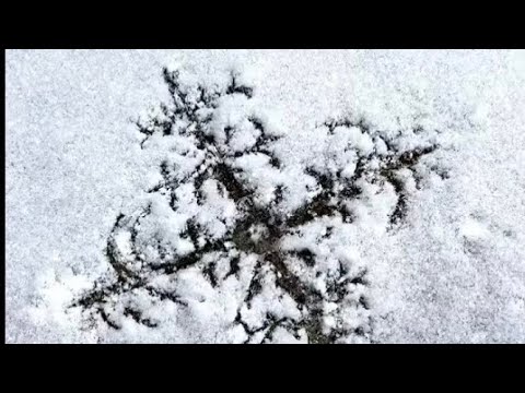 Bigga Mel - Soul Glitching