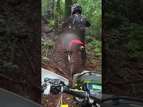 Trilha Quatro Pontes Paraná