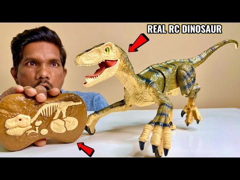 RC Real Simulation Dino Velociraptor Unboxing & Testing – Chatpat toy tv