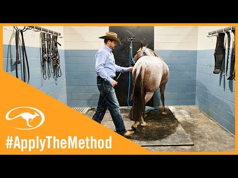 Training Tip: Move Your Horse's Feet in the Saddle Bay
