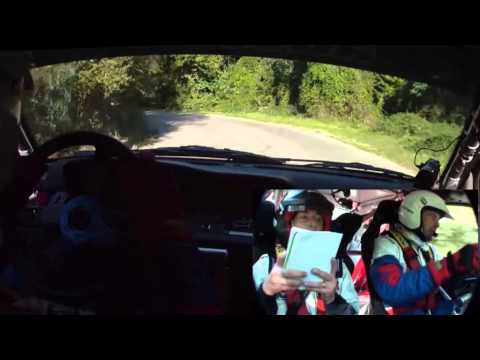 Rally di Camaiore 2013  Barsaglini - Filippini  Renault Clio FA/7